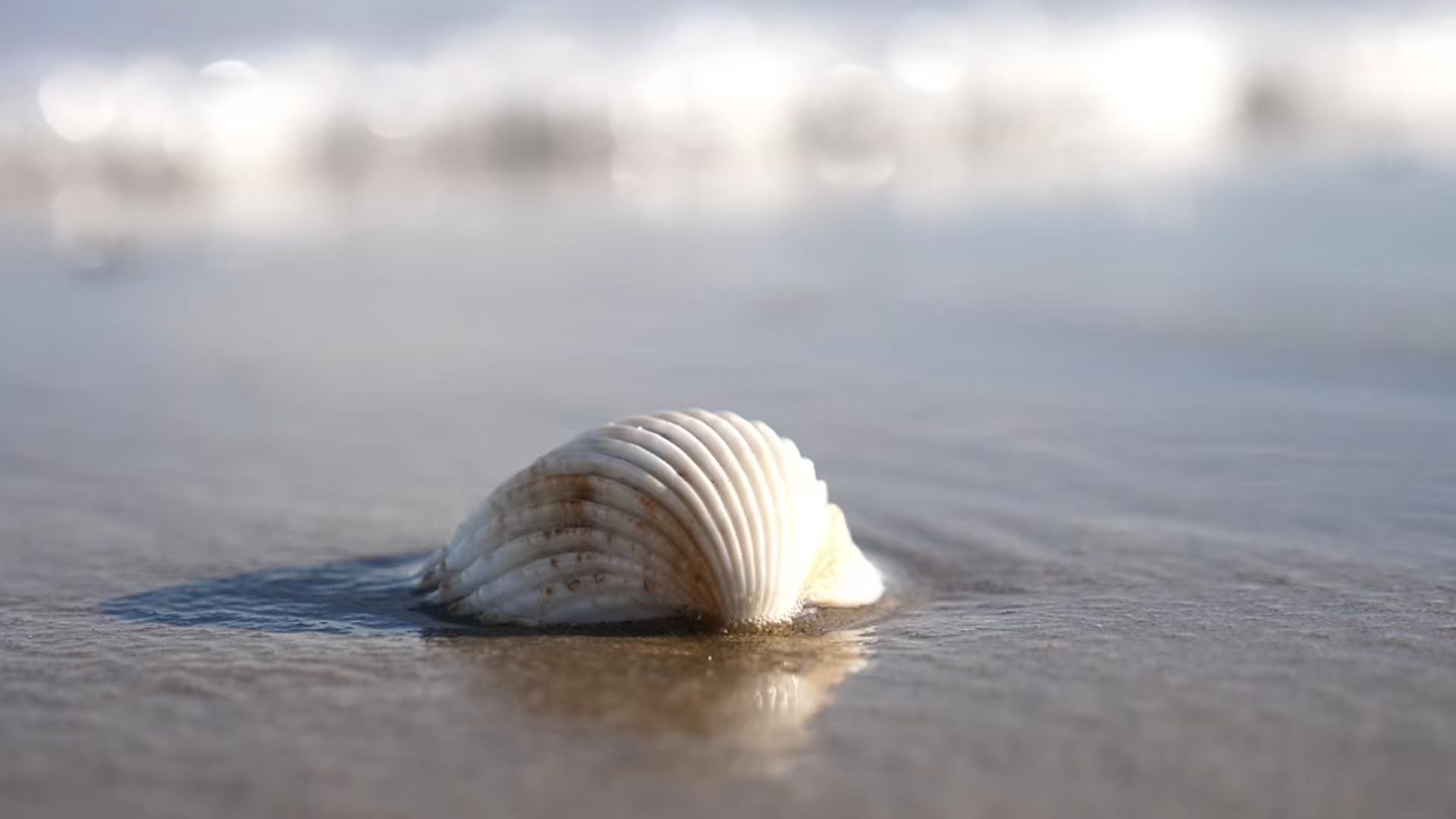 锐志机械｜为工业而生的环保解决方案